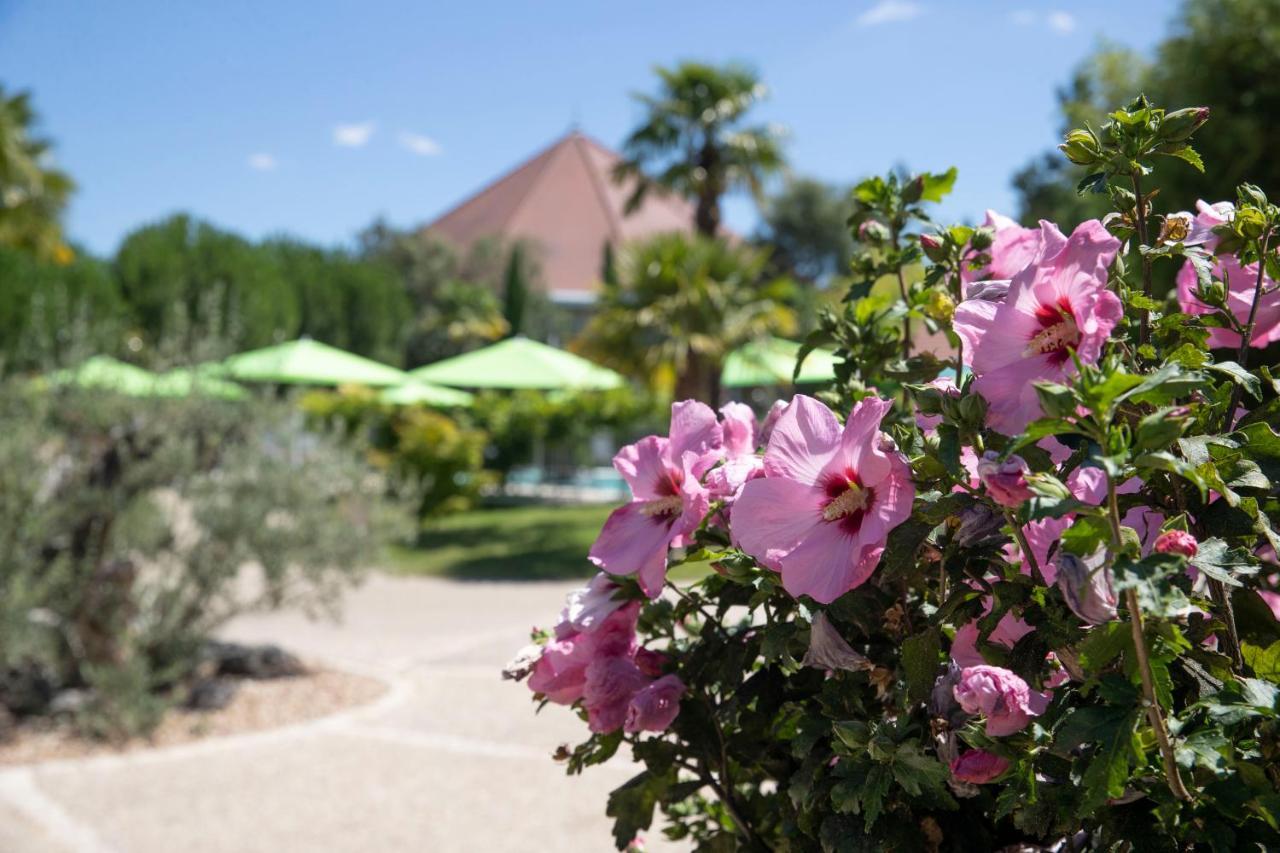 Les Jardins De Beauval Ξενοδοχείο Saint-Aignan  Εξωτερικό φωτογραφία